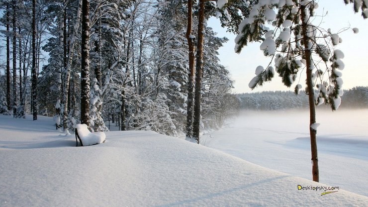 风景 雪景 树林 长椅