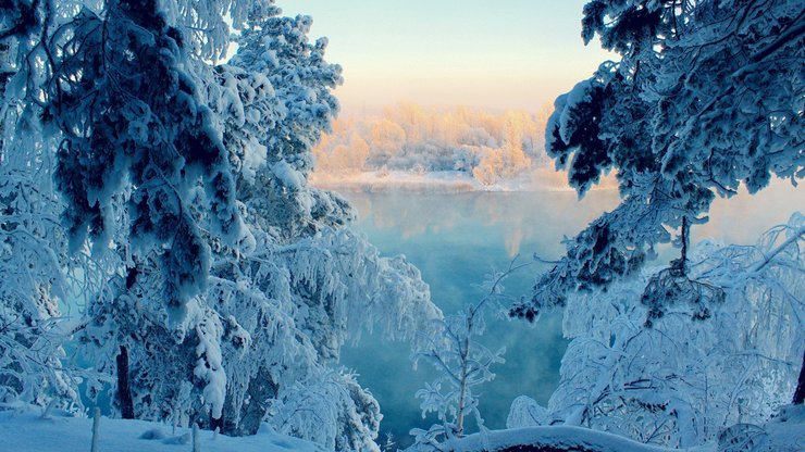 风景 雪景 树林 湖泊