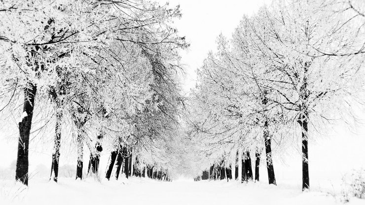 超宽 全景 风景 冰天雪地 mlgb