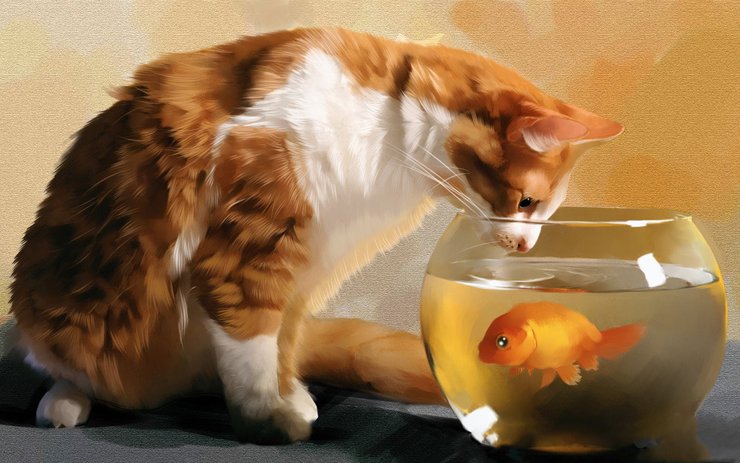 安卓手机萌宠 喵星人 可爱 宠物 卖萌 搞笑图 憨态百出 猫高清壁纸