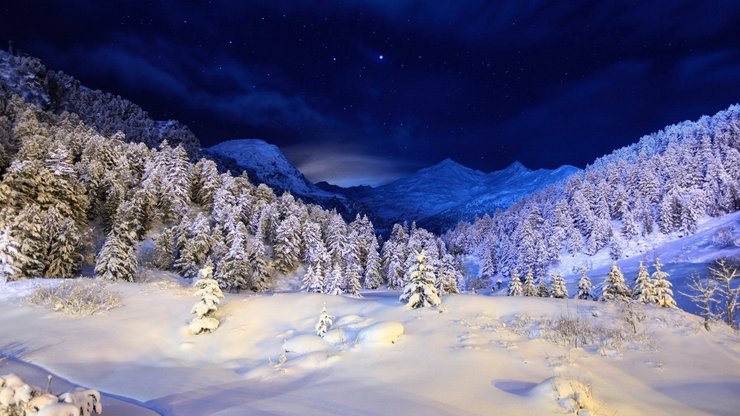 安卓手机风景 雪景 树林高清壁纸