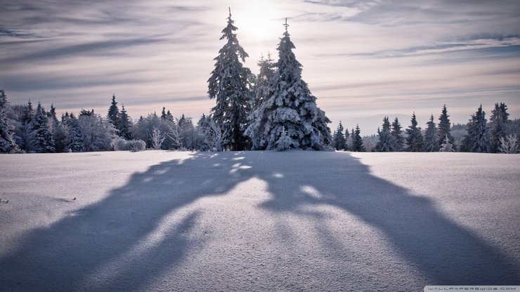 安卓手机风景 自然风光 白雪 冬季高清壁纸