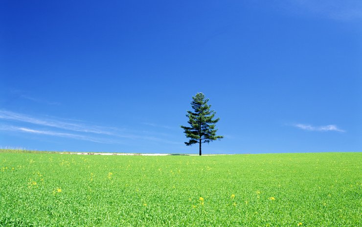 安卓手机超宽 风景 日本 草地 蓝天 碧绿草原 蓝天白云 mlgb高清壁纸