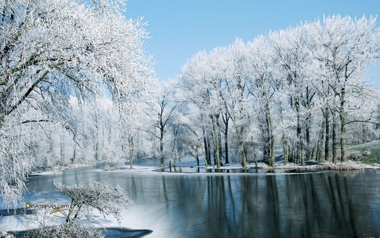 安卓手机风景 雪景 河流 树林高清壁纸
