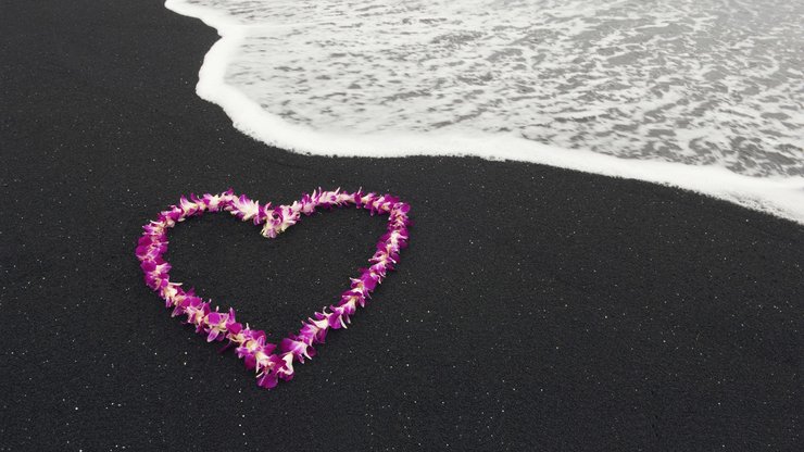 安卓手机爱情美图 唯美温馨 玫瑰 love 海滩高清壁纸