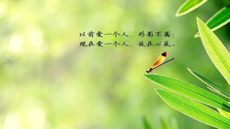 安卓手机爱情美图 爱情箴言高清壁纸