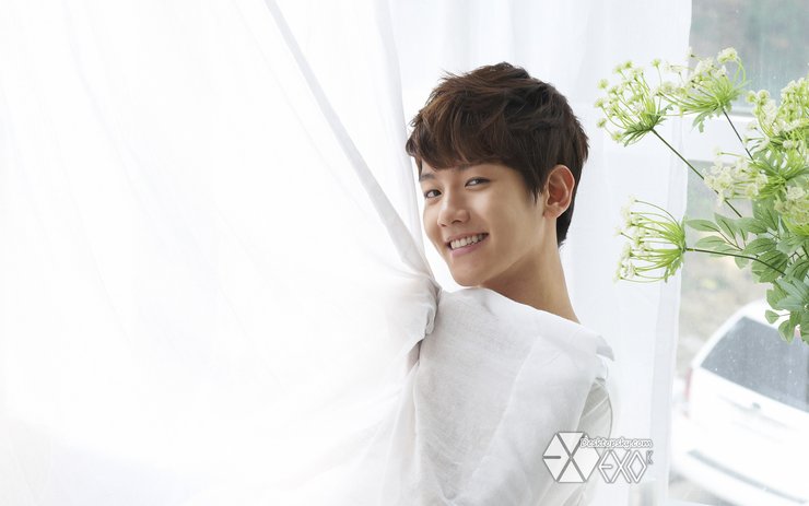 安卓手机日韩 男明星 偶像团体 EXO EXO-K高清壁纸