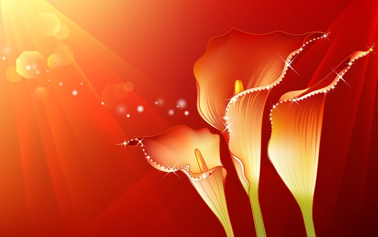 安卓手机Photoshop 设计 花朵 花纹 创意高清壁纸
