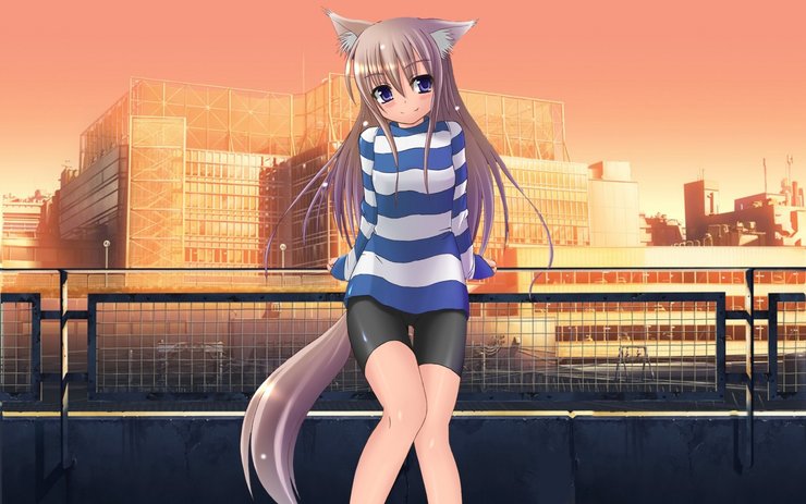 安卓手机动漫 CG 漫画 美女 小清新 可爱 笑脸 草泥马高清壁纸