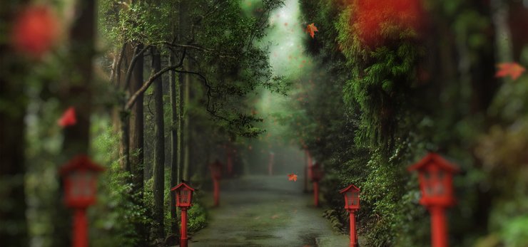 安卓手机超宽 全景 风景 春意盎然 mlgb高清壁纸