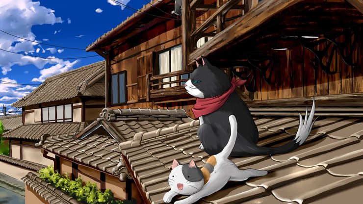安卓手机动漫 CG 漫画 可爱 卡通 猫 草泥马高清壁纸