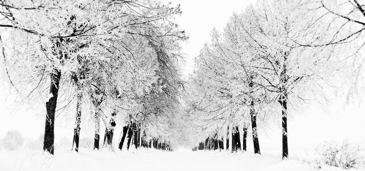 安卓手机超宽 全景 风景 冰天雪地 mlgb高清壁纸