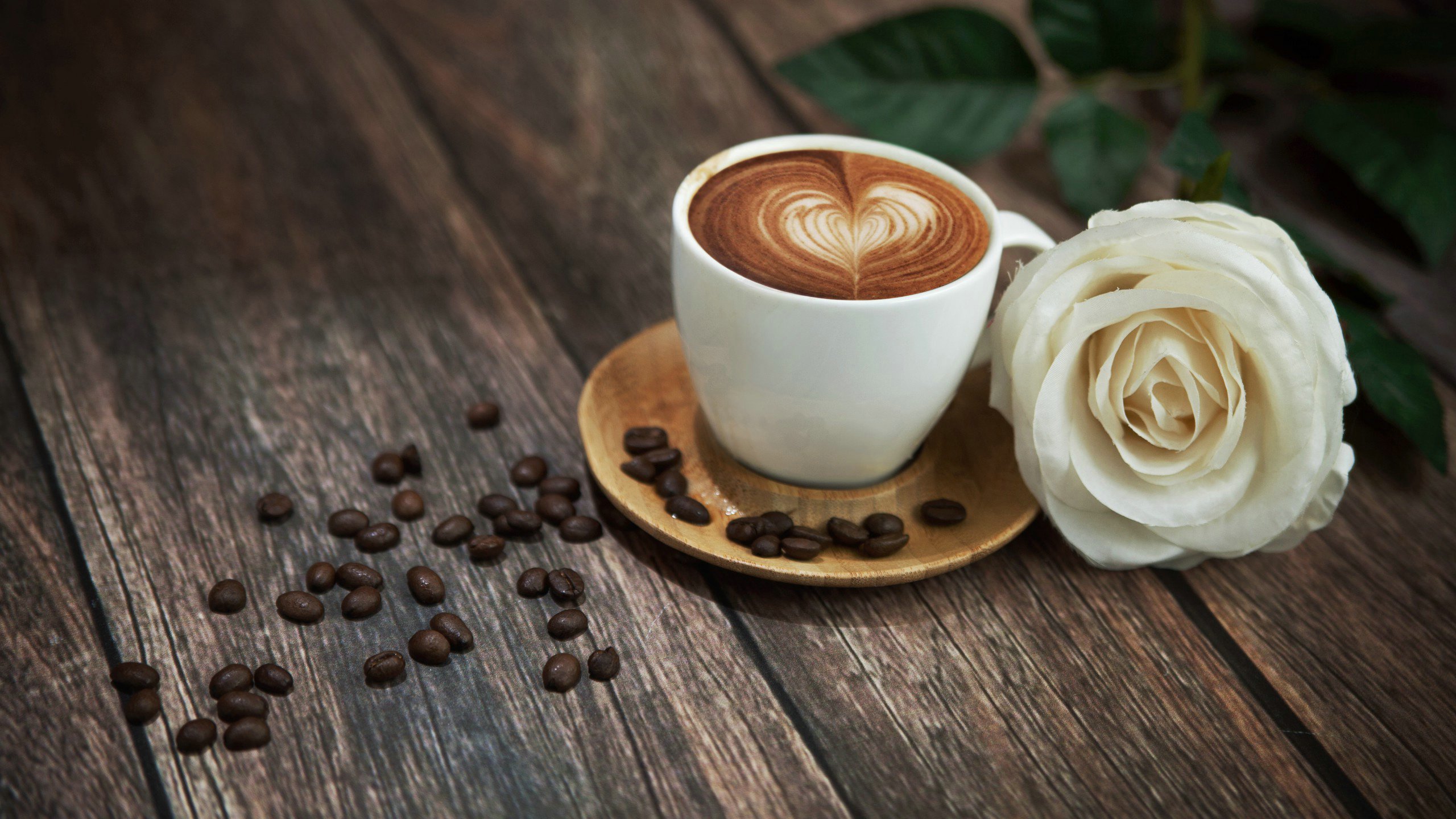 爱情美图唯美温馨玫瑰爱心咖啡浪漫