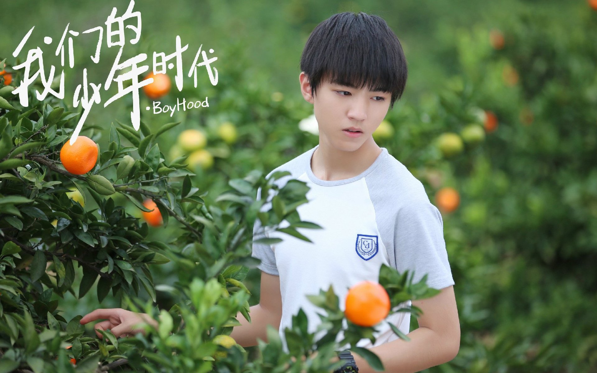 影视,电视剧,我的少年时代,王俊凯,TFBOYS,影视剧照