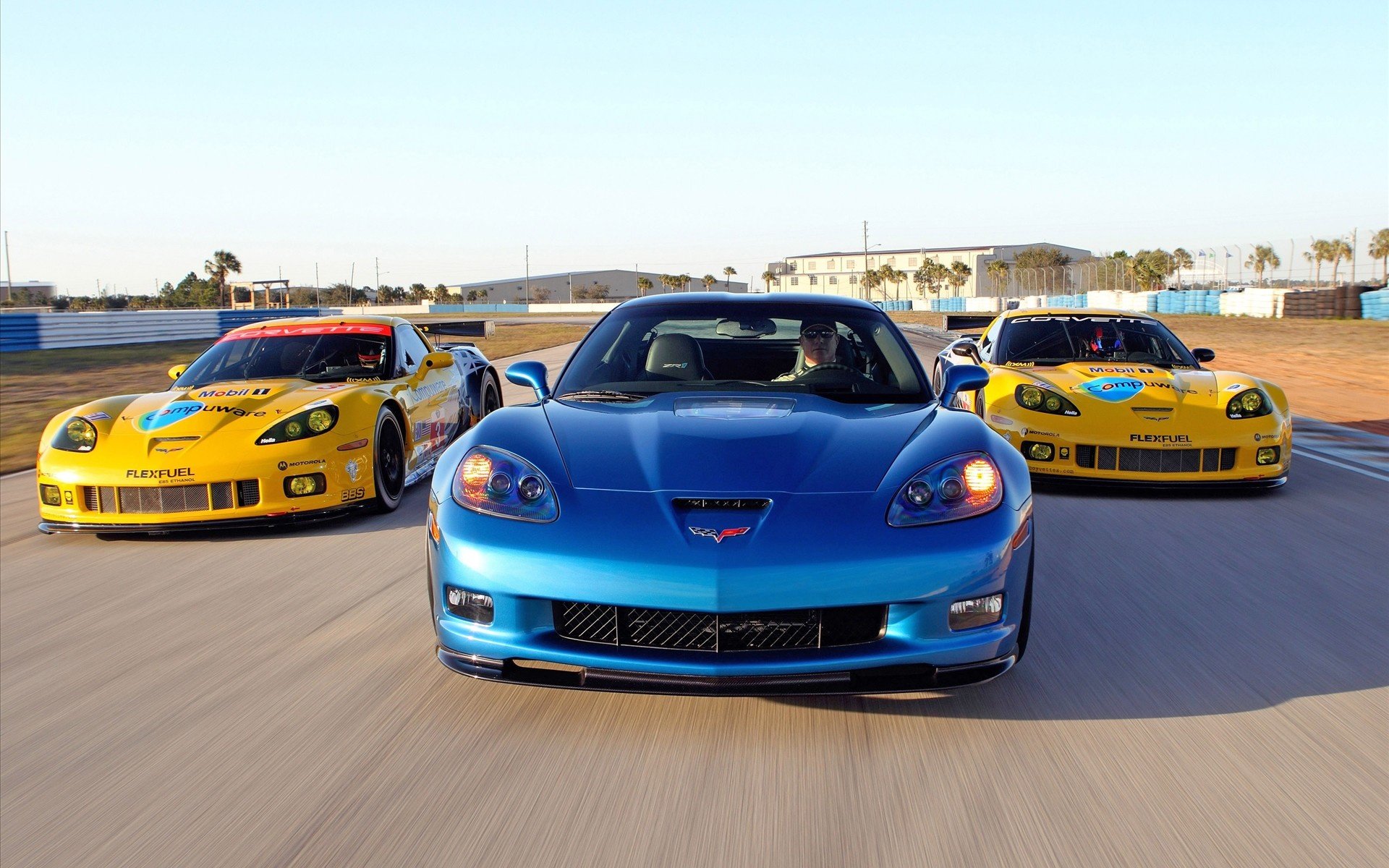 Corvette,克尔维特,汽车,跑车,宽屏,2012Y十一月03D,儿童桌面专用,汽车天下