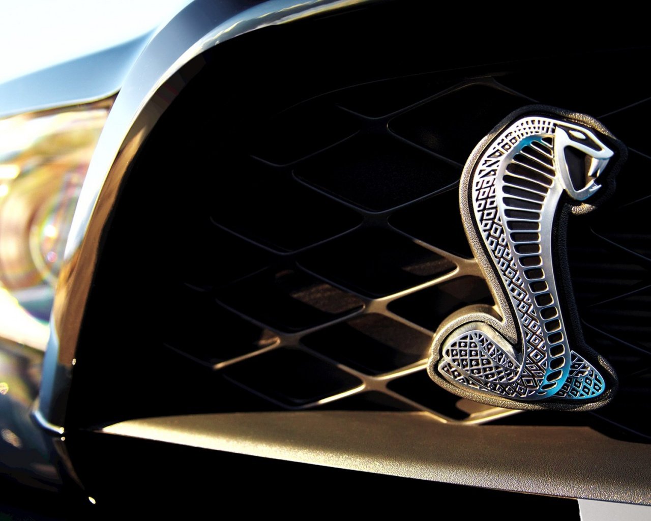  Ford Shelby GT500 福特 眼镜蛇 宽屏 汽车 2012Y十月28D