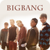 陪伴BigBang