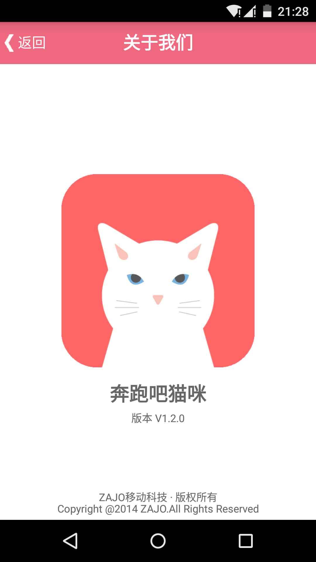 奔跑吧猫咪截图4