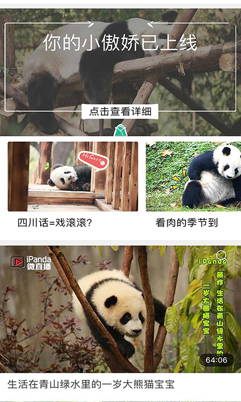 熊猫频道APP截图