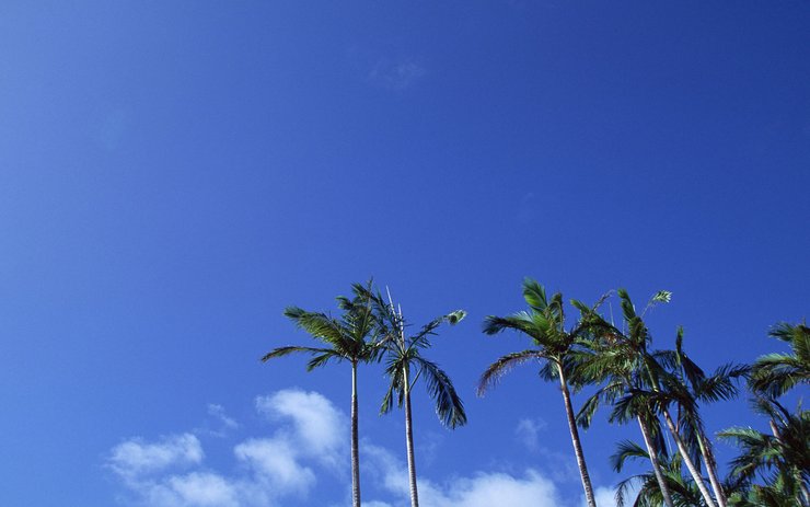 安卓風景 大海 兒童桌面專用 藍天白雲手機壁紙